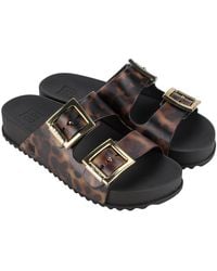 Zaxy - Partner Slide New Ad/ Turtle - Lyst