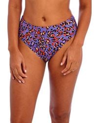 Freya - Santiago Nights High Waist Bikini Brief - Lyst
