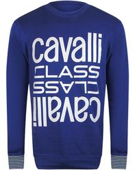 Roberto Cavalli - Bold Multi Logo Iris Round Neck Sweatshirt Cotton - Lyst