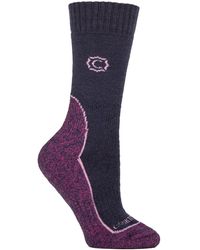 Country Pursuit - Ladies Wool Blend Cushioned Walker Socks For Hiking & Outdoor Comfort - Lyst