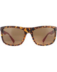 Guess - Rectangle Dark Havana Polarized Sunglasses - Lyst