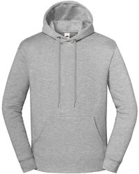 Fruit Of The Loom - Adult Iconic Premium Hoodie (Athletic Heather) - Lyst