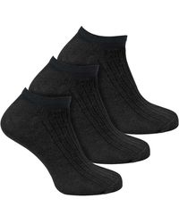 Sock Snob - 3 Pack 100% Cotton Trainer Socks - Lyst