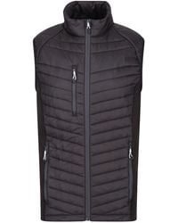 Regatta - Navigate Quilted Hybrid Gilet /Seal) - Lyst