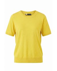 Secret Label - Cotton Short Sleeve Knit Top - Lyst