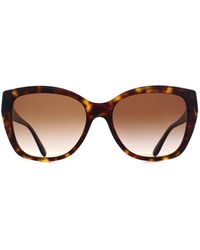 Emporio Armani - Cat Eye Shiny Havana Gradient Ea4198 - Lyst
