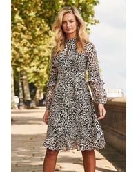 Sosandar - Leopard Print Fit & Flare Ruffle Dress - Lyst