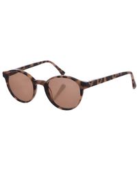 Zen - Pantos Shaped Acetate Sunglasses Z423 - Lyst
