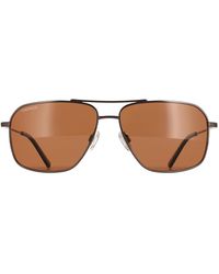 Serengeti - Aviator Shiny Gunmetal Mineral Polarized Drivers Dorwinn - Lyst