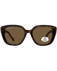 Montana - Square Tortoise Polarized Mp180 - Lyst