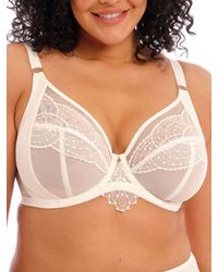 Elomi - Priya Plunge Bra - Lyst
