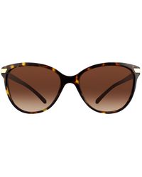 Burberry - Sunglasses Be4216 300213 Dark Havana With Detailing Gradient - Lyst