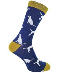 Mr Heron - 1 Pack Novelty Dog Patterned Bamboo Socks - Lyst