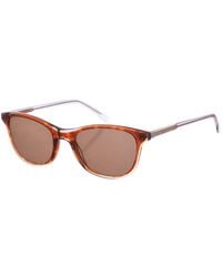 Zen - Z489 Square Shaped Acetate Sunglasses - Lyst