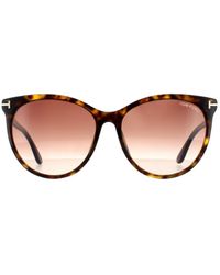 Tom Ford - Cat Eye Dark Havana Gradient Sunglasses - Lyst