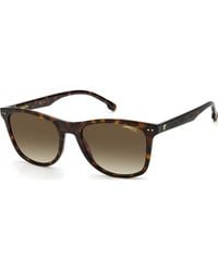 Carrera - Ca2022Ts-0086-Ha Ca2022Ts 51 0086 Ha Fashion Sunglasses - Lyst