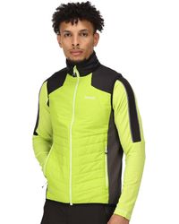 Regatta - Halton Vi Lightweight Body Warmer Gilet - Lyst