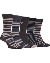 Farah - 5 Pack Thin Breathable Classic Striped Patterned Soft Top Cotton Dress Socks - Lyst