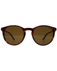 Polo Ralph Lauren - Round Havana Sunglasses - Lyst