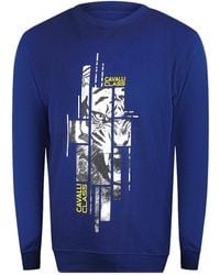 Roberto Cavalli - Splintered Tiger Graphic Iris Sweatshirt Cotton - Lyst