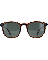 Police - Round Shiny Dark Havana Polarized Splf18E - Lyst