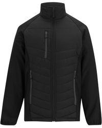 Regatta - Full Zip Padded Jacket /Ash) - Lyst