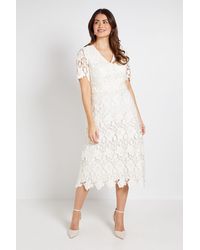 Wallis - Lace Waist Detail Midi Dress - Lyst