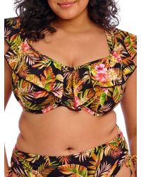 Elomi - Tiger Valley Ruffle Bikini Top - Lyst