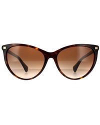Ralph Lauren - By Butterfly Shiny Dark Havana Gradient Sunglasses - Lyst