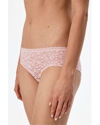 Penti - Easy Lace Floral Hipster Briefs - Lyst