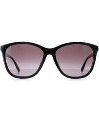 Ted Baker - Tb1646 Delfi 001 Glanzend Zwart Grijs Gradiënt Zonnebril - Lyst