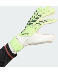 adidas Originals - Predator Training Goalkeeper Gloves - Lyst