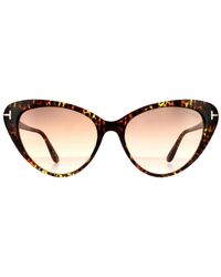 Tom Ford - Cat Eye Dark Havana Gradient Sunglasses - Lyst