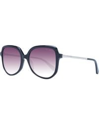 Ted Baker - Sunglasses Tb1717 001 54 - Lyst