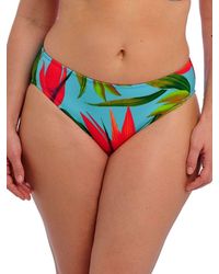 Fantasie - Pichola Bikini Brief - Lyst