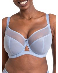 Curvy Kate - Victory Balcony Bra - Lyst