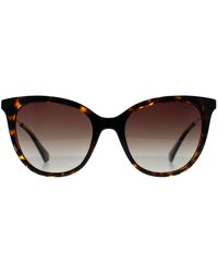 Polaroid - Cat Eye Havana Gradient Polarized Pld 4184/S/X - Lyst