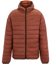 Regatta - Marizion Baffled Hooded Padded Jacket (Burnt Henna) - Lyst