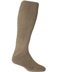 Heat Holders - Extra Long Thick Thermal Knee High Socks 6-11 Uk - Lyst