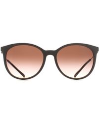 ARMANI EXCHANGE - Cat Eye Shiny Tundra Gradient Ax4140S - Lyst