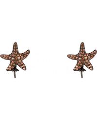 Lancaster - Jla-Ear-Star-4 Ladies Earrings - Lyst