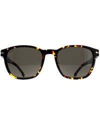 BOSS - Square Havana Dark 1505/S - Lyst