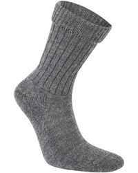 Craghoppers - Wool Hiker Socks - Lyst