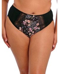 Elomi - Morgan High Leg Brief - Lyst