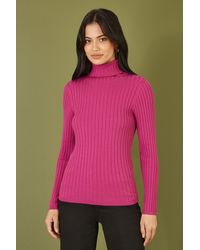 Mela London - Ribbed Knit Roll Neck Jumper Viscose - Lyst