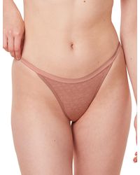 Triumph - Signature Sheer Thong - Lyst