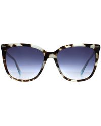 Calvin Klein - Butterfly Aqua Tortoise Gradient Ck22532S - Lyst