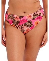 Elomi - Cabana Nights Bikini Brief - Lyst