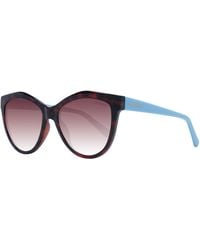 Skechers - Sunglasses Se6104 52H 55 - Lyst