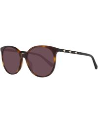 Swarovski - Ronde Donkere Havana Bruine Gradiënt Zonnebril - Lyst